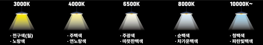 2f892c651c0c65a9bd15311ecdee8d3e_1763431